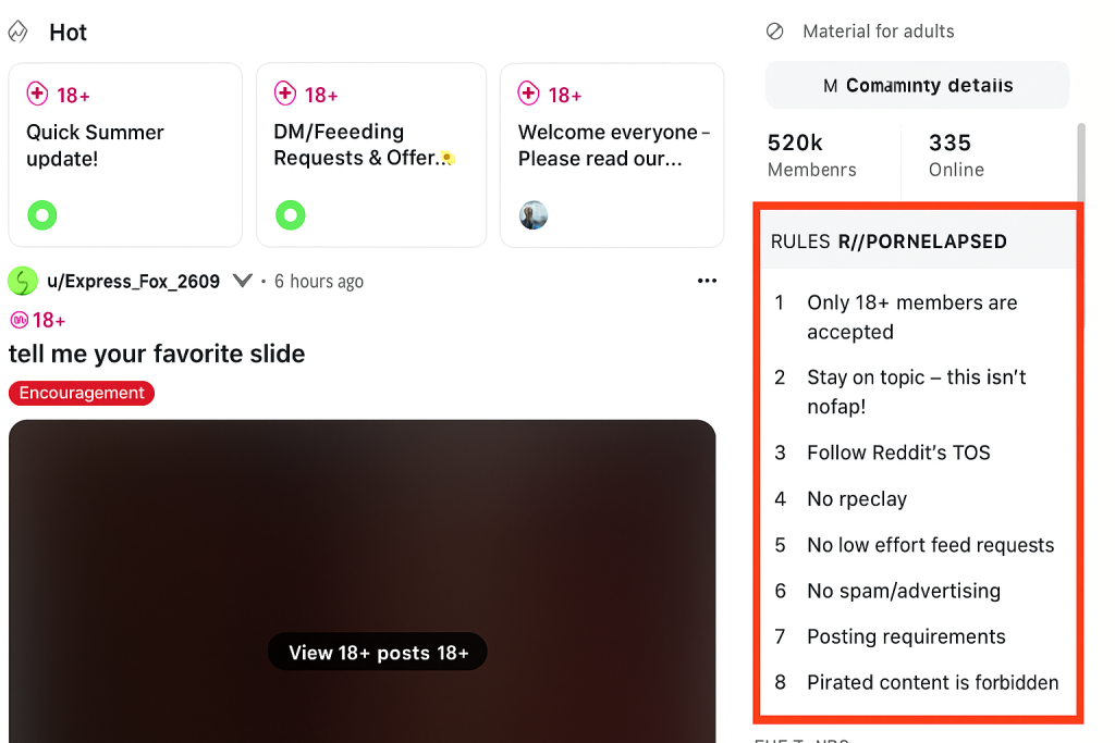 Reddit subreddit screenshot with translated interface text and community rules.