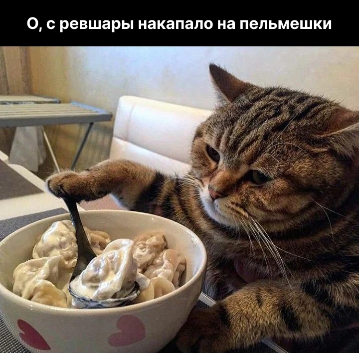 Смешной мем про ревшару и беттинг