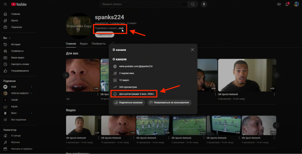 Канал spanks224 на YouTube с открытым всплывающим окном, где показаны пункты “Провайдер и ссылка” и “Диагностический ключ, 2000x”