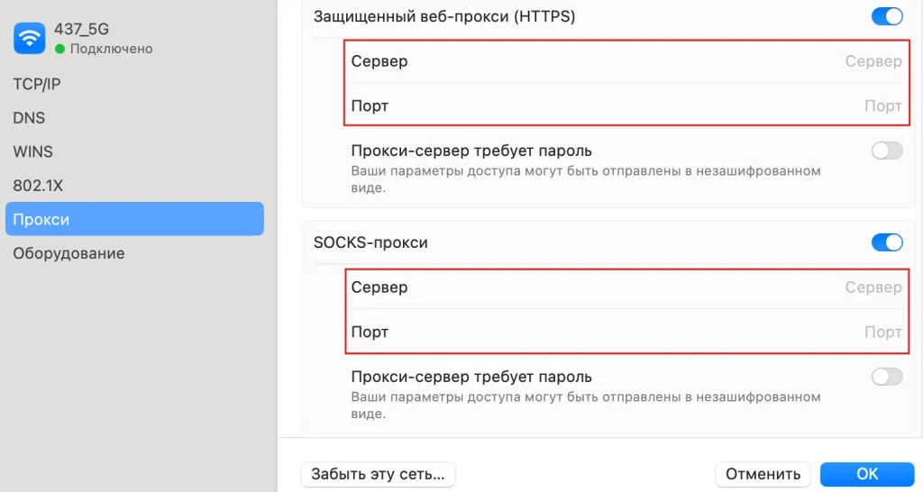 Вписываем сервер и порт