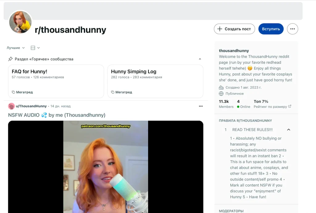 Скриншот страницы Reddit с контентом пользователя