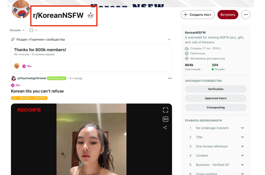 Изображение сайта Reddit с подразделом KoreanNSFW