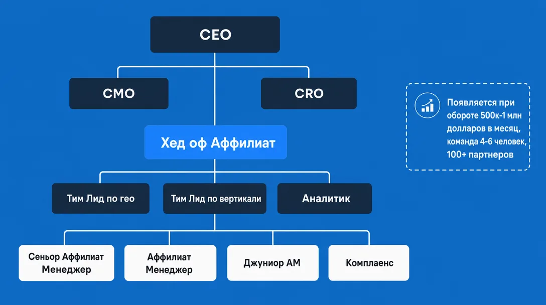 Схема оргструктуры с позицией Head of Affiliate в компании