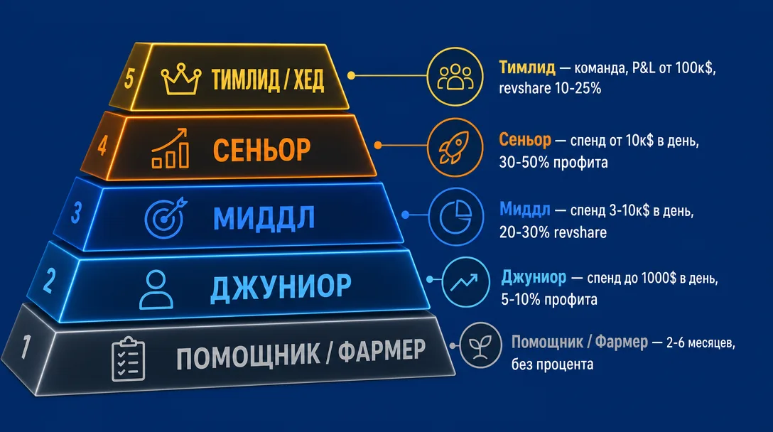 Иерархия грейдов медиабайеров от помощника до тимлида